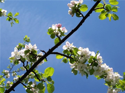 獅子座2017年4月運(yùn)勢詳解