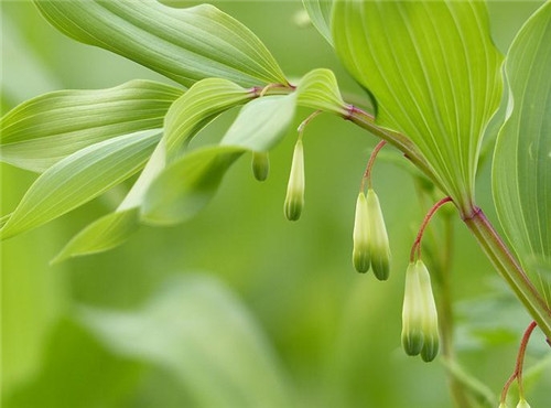 處女座2017年4月運(yùn)勢(shì)詳解