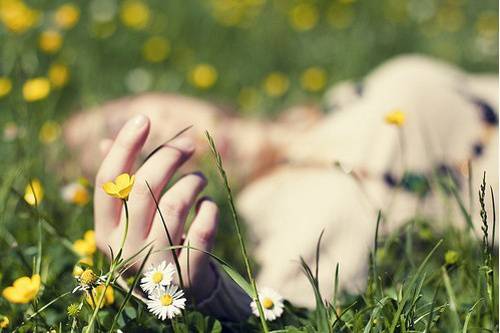 阿莎莉婭3.14-3.20星座運(yùn)勢(shì)大公開(kāi)