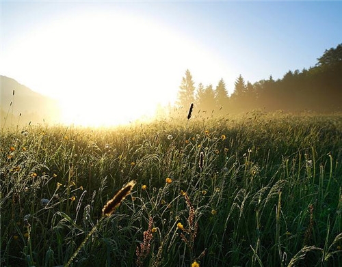 白羊座清明掃墓禁忌 清明假期這樣過