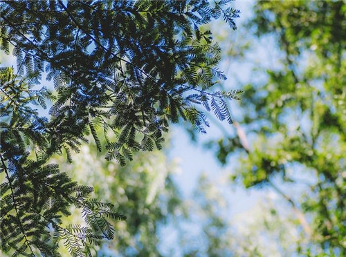 射手座2017年4月運(yùn)勢(shì)詳解