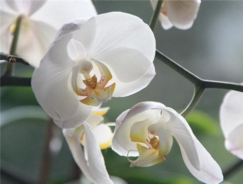 水瓶座清明掃墓禁忌 清明假期這樣過