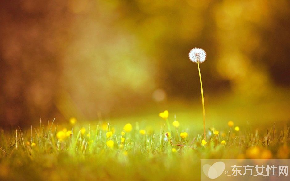 星座命盤怎么看  星座命盤的意義是什么