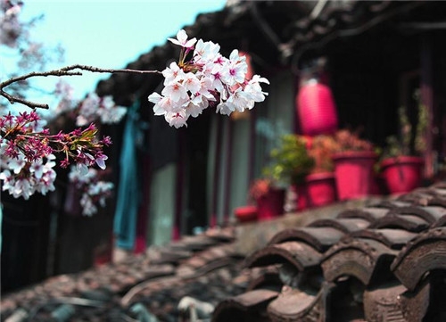 白羊座2017年4月運勢詳解