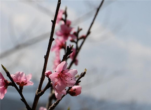 天秤座2017年4月運勢詳解