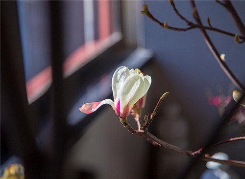 處女座2017年4月運(yùn)勢(shì)詳解