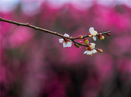 水瓶座2017年4月運(yùn)勢(shì)詳解