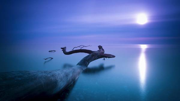 阿莎莉婭3.14-3.20星座運勢大公開