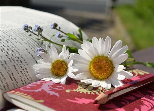 天蝎座清明掃墓禁忌 清明假期這樣過