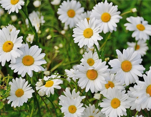 水瓶座2017年4月運(yùn)勢(shì)詳解