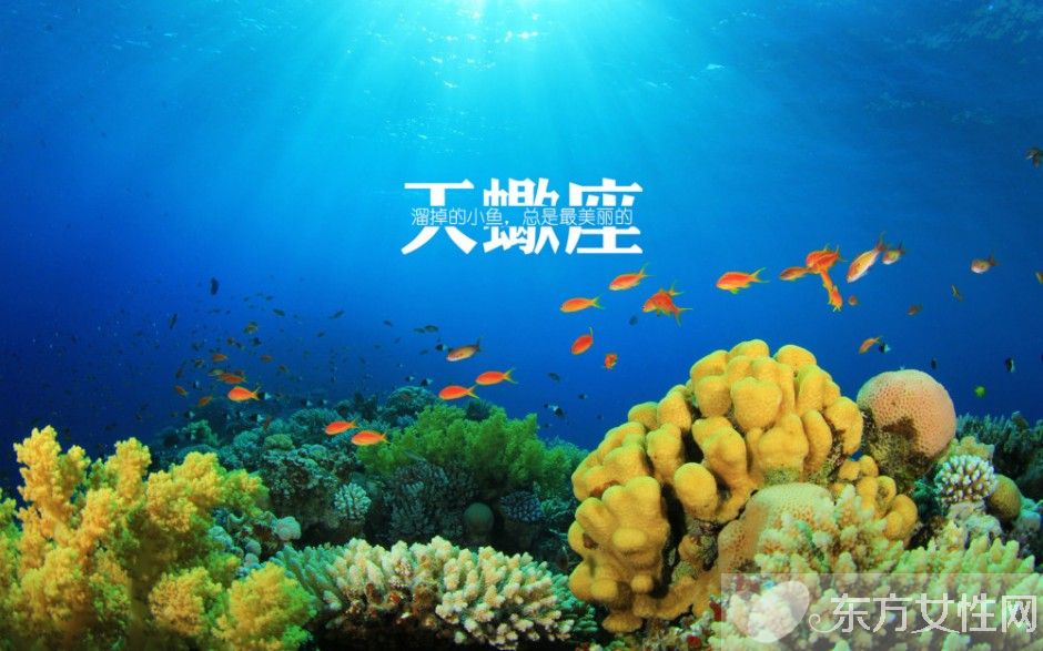 天蝎座的性格特點(diǎn)分析 天蝎座和什么座最配