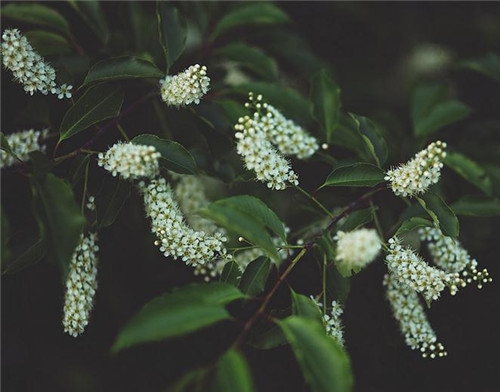 射手座清明掃墓禁忌 清明假期這樣過(guò)