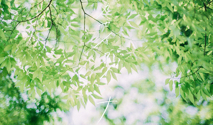 溫暖日系唯美風(fēng)景圖片欣賞