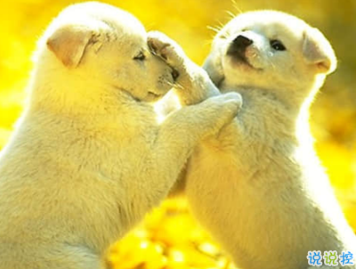 一輩子好兄弟說說帶圖片 兄弟說說霸氣重情義的11