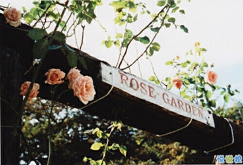 一個(gè)人情緒低落的傷感說說帶圖片 受過傷流過淚的難過說說14