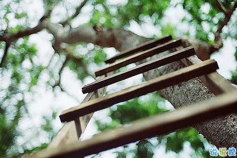 知性女人用的唯美朋友圈說說圖片 剪一段愛的時(shí)光永久收藏13