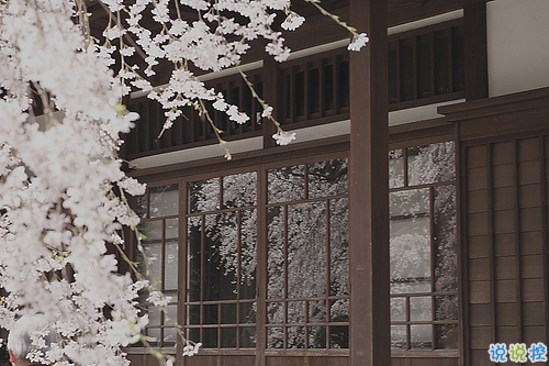 人生很現(xiàn)實(shí)經(jīng)典勵(lì)志圖片說(shuō)說(shuō) 人的一生難免有起伏9