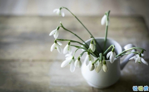 50句最傷感的愛情句子 能讓人瞬間哭出來的句子2