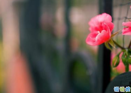 致自己的一句話個(gè)性說說帶圖片 想要訴說自己心情的說說2