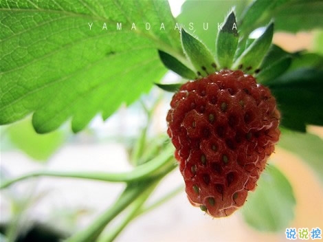 男女都適合的成熟愛情說說帶圖片 你必須學(xué)會(huì)和懂得的愛情真理8