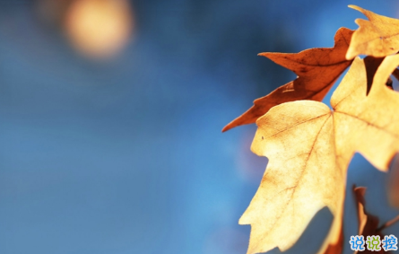 幾米經(jīng)典語(yǔ)錄關(guān)于愛(ài)情說(shuō)說(shuō)帶圖片：當(dāng)我想你的時(shí)候，你會(huì)不會(huì)也剛好正在想我16