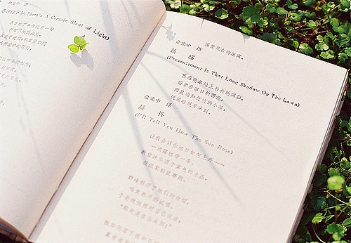 關(guān)于夏天的唯美文藝說說帶圖片 夏有彤云蔚然成風(fēng)5