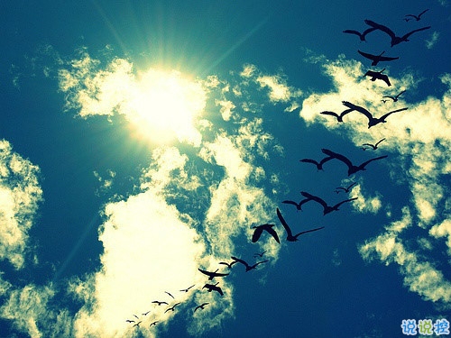 女生個(gè)性說(shuō)說(shuō)經(jīng)典霸氣帶圖片 知道自己不討喜那就乖一點(diǎn)5