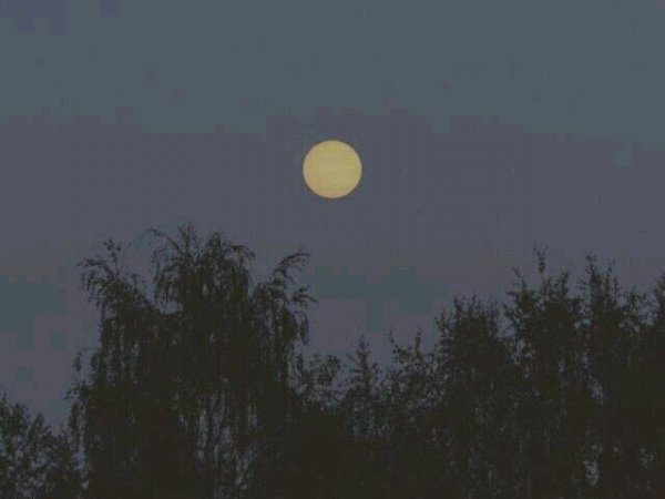 關(guān)于人生和夢(mèng)想的很現(xiàn)實(shí)的經(jīng)典哲理說說帶圖片8