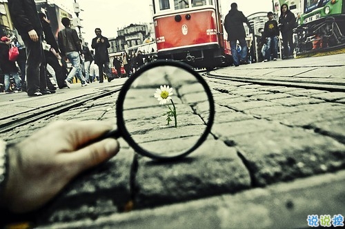 適合旅游時(shí)發(fā)的心情說(shuō)說(shuō) 女生發(fā)朋友圈最喜歡的可愛(ài)個(gè)性句子2