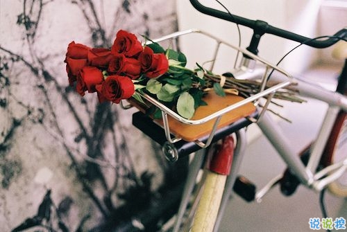 2019晚安心語心情說說大全 每天睡前一句晚安說說致所有人1