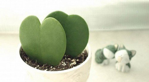 關(guān)于愛情的傷感難過句子帶圖片 我們兩個(gè)之間的進(jìn)度條可能也就只到這里了吧12