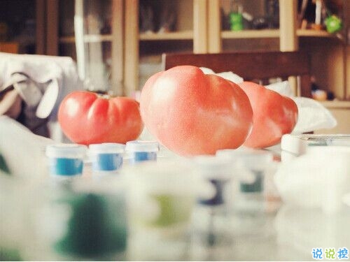 成長之路上遇到的一些經(jīng)典哲理說說配圖 很有道理的精辟說說發(fā)朋友圈10