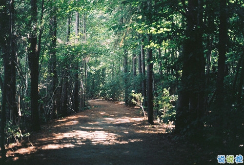 可以發(fā)朋友圈的早安勵(lì)志心語(yǔ)大全2018 很經(jīng)典的勵(lì)志說(shuō)說(shuō)帶圖片6