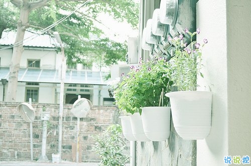 2019微信最火的說說 被點贊轉(zhuǎn)發(fā)最高的30條說說2