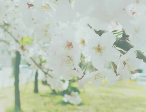 充滿粉紅色少女心說說適合心情不錯的時候發(fā)帶圖片2