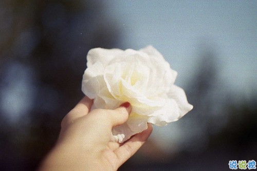 關(guān)于愛情簡單又有道理的句子配圖 愛情是一個人的天荒地老13