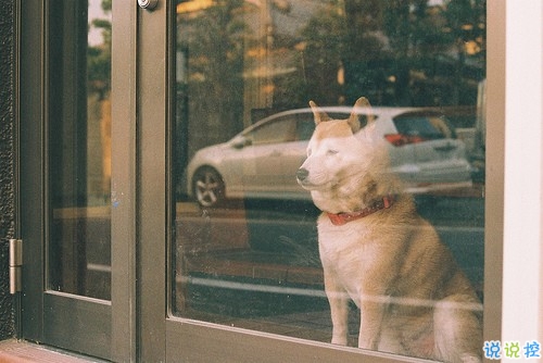 勵志說說致自己的短語2018配圖  很勵志的正能量經典說說8