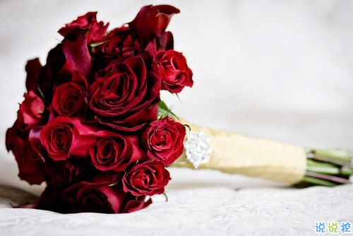 對愛一往情深的經典說說帶圖片 文藝愛情小短句表達愛意3