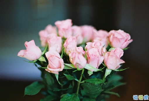 2019戳破人心的傷感說說合集 超扎心的一句話說說1