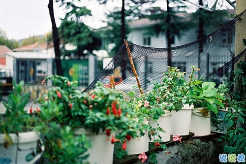 感悟人生的正能量句子帶圖片 你走過的彎路都是通向正軌的必經(jīng)之路12