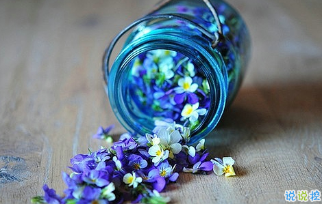 知性女人用的唯美朋友圈說說圖片 剪一段愛的時(shí)光永久收藏10