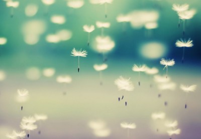 幸福說說帶圖片7