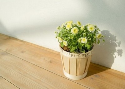 經(jīng)典說說和圖片7