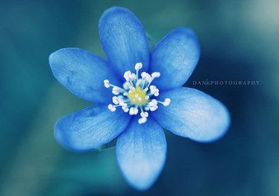 經(jīng)典說說和圖片4