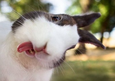 心情說說帶圖片4