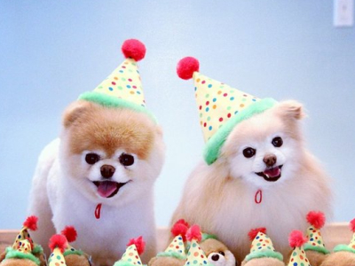 QQ空間圖片說說5