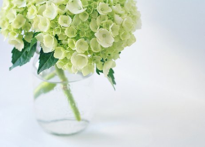 QQ空間圖片說說7