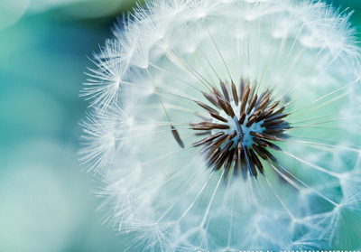 帶圖片的女生說(shuō)說(shuō)：百毒不侵的女漢子，哪個(gè)以前不是心軟成病