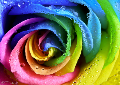 小清新說說圖片大全5