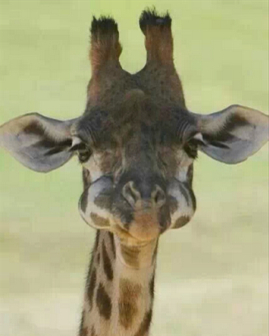 微信說說帶圖片：這個世界，看你二的人很多，陪你二的人很少10